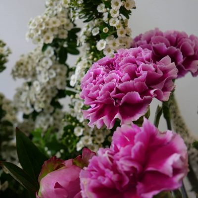 fleurs-fraiches-roses-1